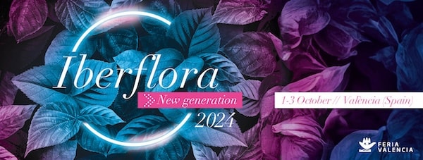 logo feria